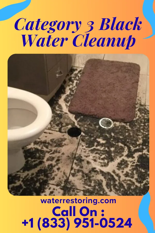 Category 3 Black Water Cleanup in Charlottsville, PA