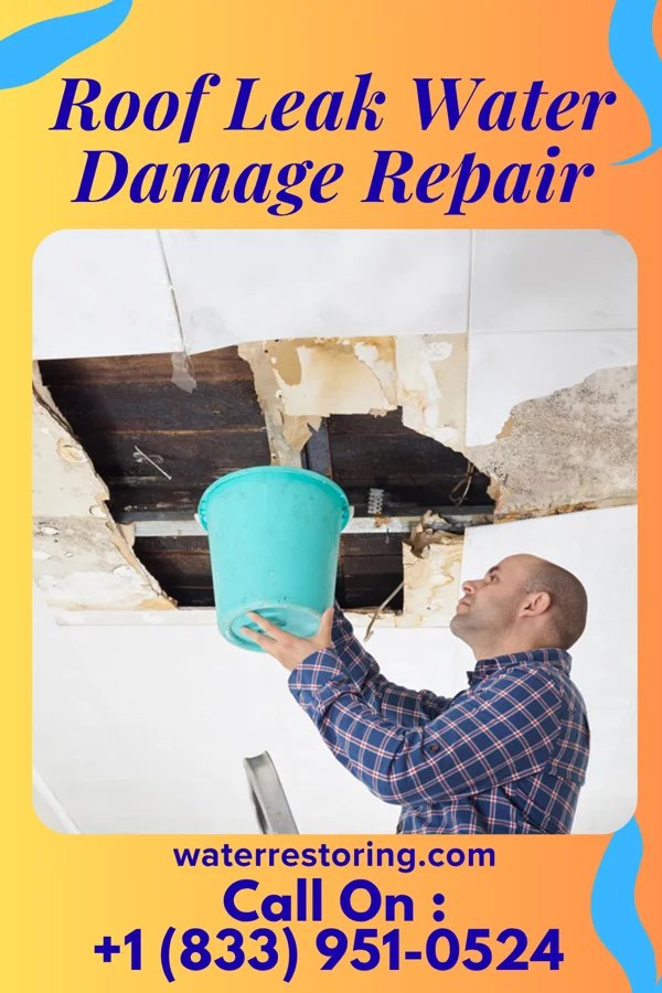 Roof Leak Water Damage Repair in Charlottsville, PA