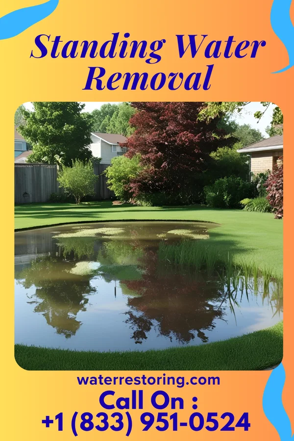Standing Water Removal in Charlottsville, PA